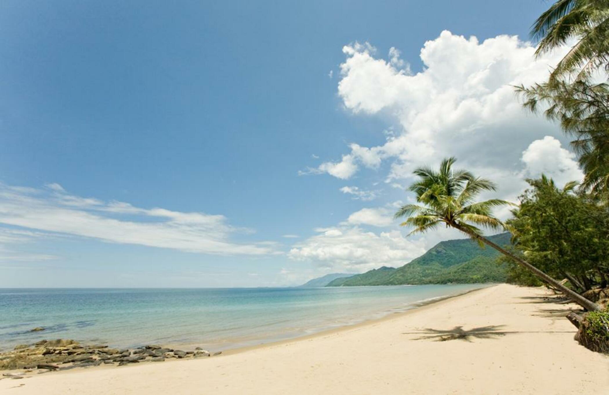 Thala Beach Nature Reserve Port Douglas Exteriör bild