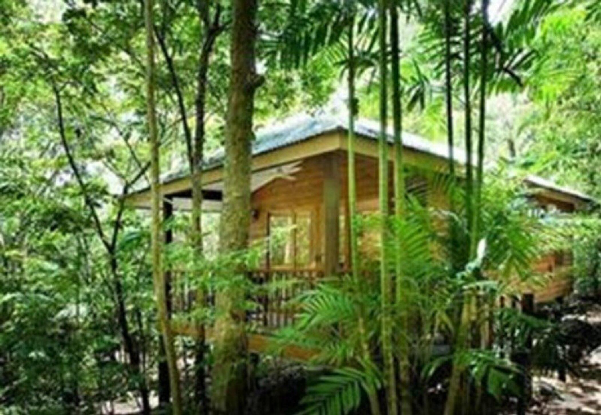 Thala Beach Nature Reserve Port Douglas Exteriör bild