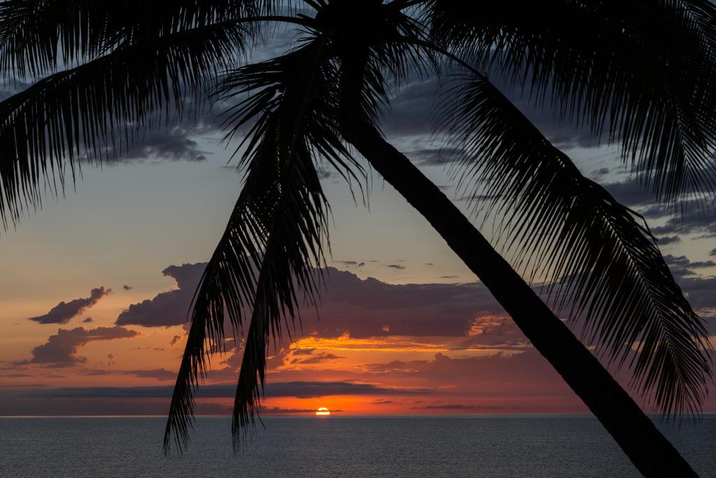 Thala Beach Nature Reserve Port Douglas Exteriör bild
