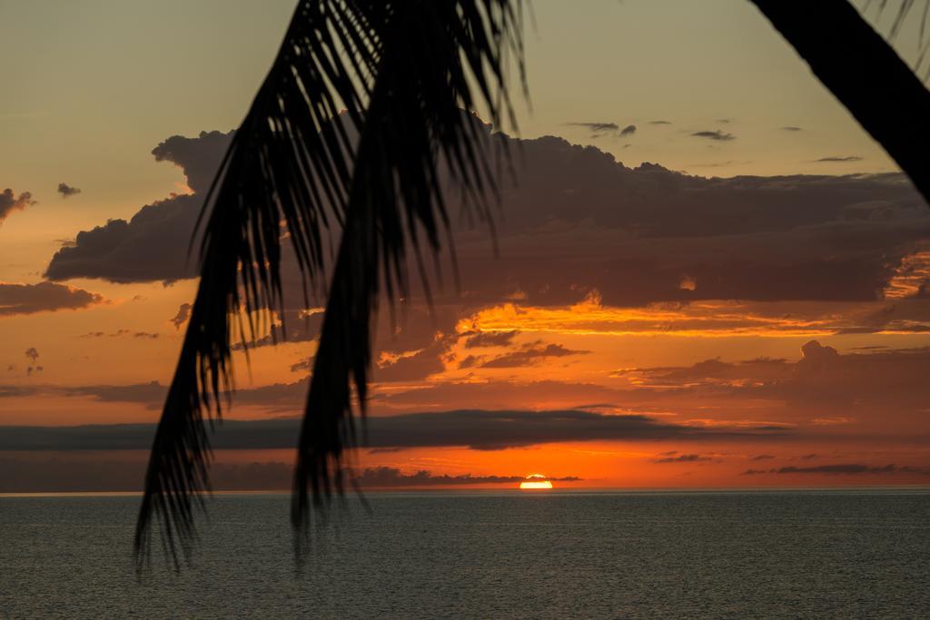 Thala Beach Nature Reserve Port Douglas Exteriör bild