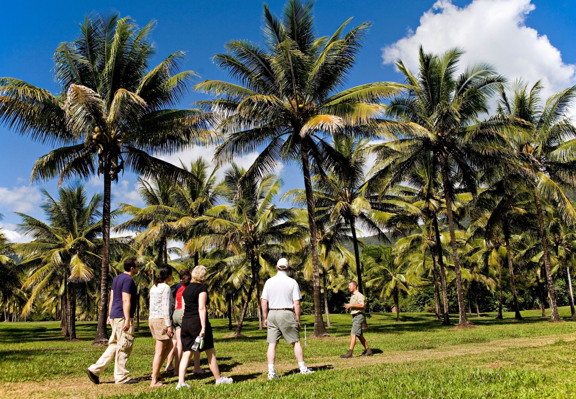 Thala Beach Nature Reserve Port Douglas Exteriör bild
